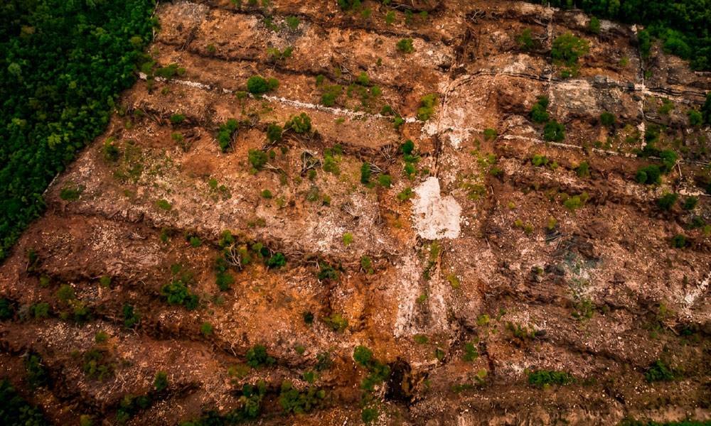 Vista aérea de la superficie del terreno
